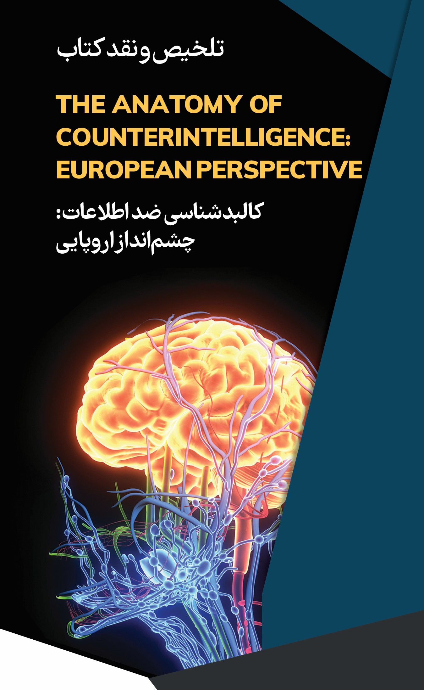 تلخیص و نقد کتاب «کالبدشناسی ضداطلاعات: چشم انداز اروپایی»